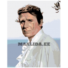 Maalid numbrite järgi KTMK-388823