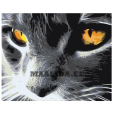 Maalid numbrite järgi KTMK-39361