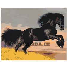 Maalid numbrite järgi KTMK-39979