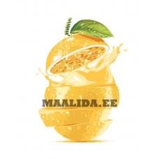 Maalid numbrite järgi KTMK-43458