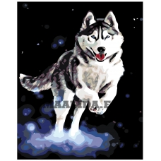 Maalid numbrite järgi KTMK-43914