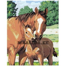 Maalid numbrite järgi KTMK-52879