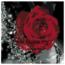 Maalid numbrite järgi KTMK-62273