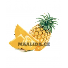 Maalid numbrite järgi KTMK-64488