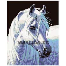 Maalid numbrite järgi KTMK-66514