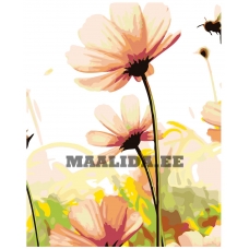 Maalid numbrite järgi KTMK-69536-1