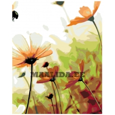 Maalid numbrite järgi KTMK-69536-2