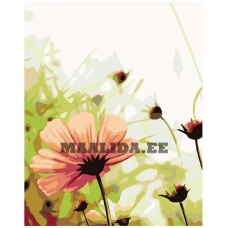 Maalid numbrite järgi KTMK-69536