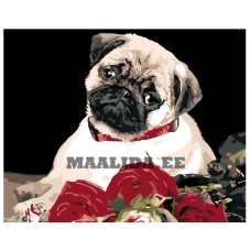 Maalid numbrite järgi KTMK-78528