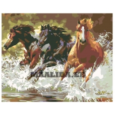 Maalid numbrite järgi KTMK-78872