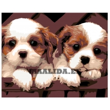 Maalid numbrite järgi KTMK-78978