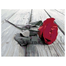 Maalid numbrite järgi KTMK-79797