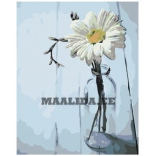 Maalid numbrite järgi KTMK-82255