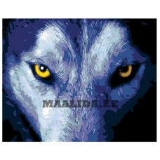 Maalid numbrite järgi KTMK-82846