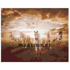 Maalid numbrite järgi KTMK-85105