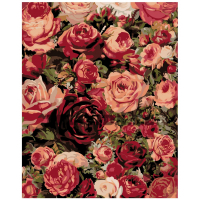 Maalid numbrite järgi KTMK-87286