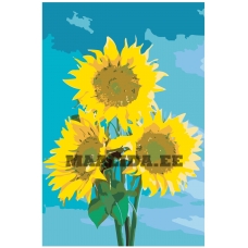 Maalid numbrite järgi KTMK-CH12