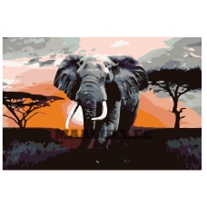 Maalid numbrite järgi KTMK-Elephant