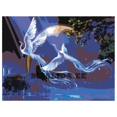 Maalid numbrite järgi KTMK-Fenixove1