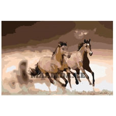 Maalid numbrite järgi KTMK-KVB011