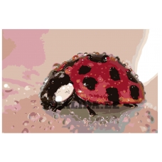 Maalid numbrite järgi KTMK-beruska012