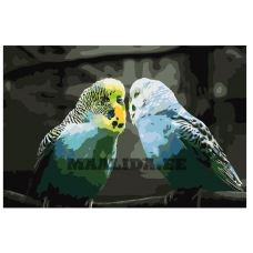 Maalid numbrite järgi KTMK-birds012