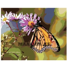Maalid numbrite järgi KTMK-butterfly01