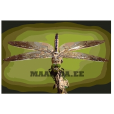 Maalid numbrite järgi KTMK-fragongly012