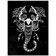 Maalid numbrite järgi KTMK-scorpio02