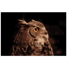 Maalid numbrite järgi KTMK-sova011