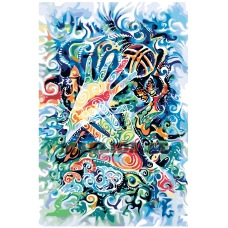 Maalid numbrite järgi KZ05