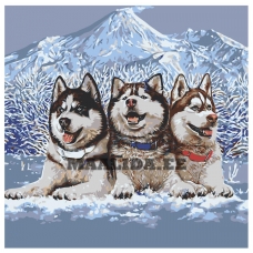 Maalid numbrite järgi NA-semikinikafeb5