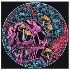 Maalid numbrite järgi NA-skullzz1