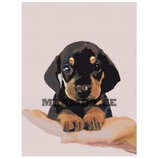 Maalid numbrite järgi NEGV-zlit090919V3-1-3040