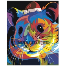 Maalid numbrite järgi PA13