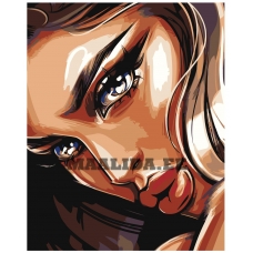 Maalid numbrite järgi PA163