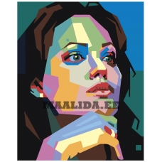 Maalid numbrite järgi PA172