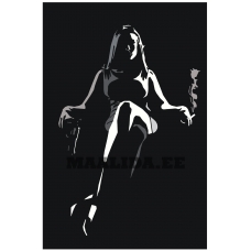 Maalid numbrite järgi PA214