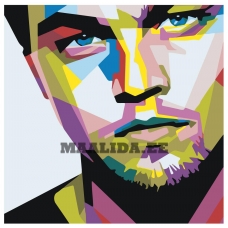 Maalid numbrite järgi PA220