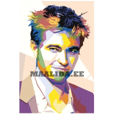 Maalid numbrite järgi PA227