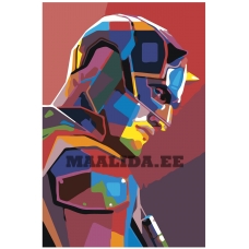 Maalid numbrite järgi PA228