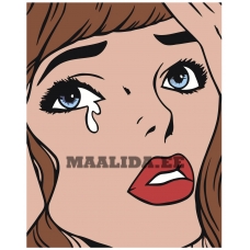 Maalid numbrite järgi PA26