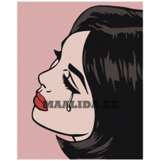 Maalid numbrite järgi PA27