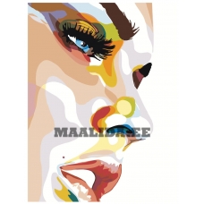 Maalid numbrite järgi PA42