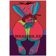 Maalid numbrite järgi PA67