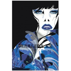 Maalid numbrite järgi PA81