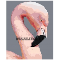 Maalid numbrite järgi PHTO-20091840501