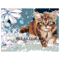 Maalid numbrite järgi RA014