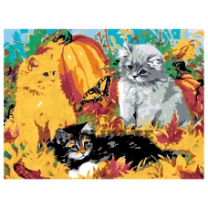 Maalid numbrite järgi RA016