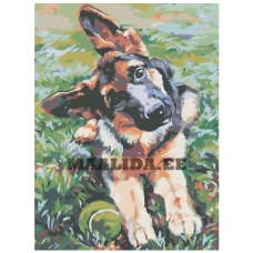 Maalid numbrite järgi RA018